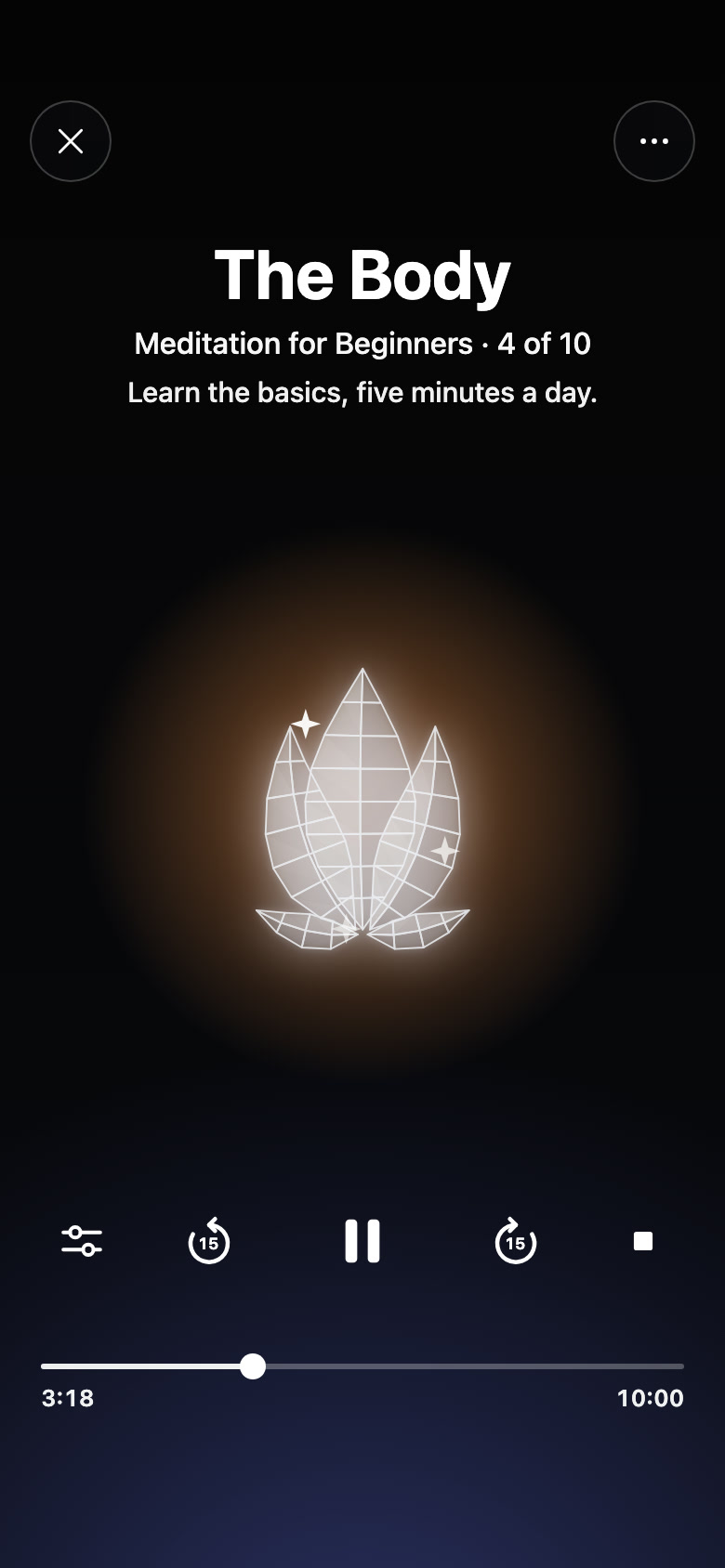 A guided session playing: The Body, session 4 of Meditation for Beginners, its lotus bud lit in the middle